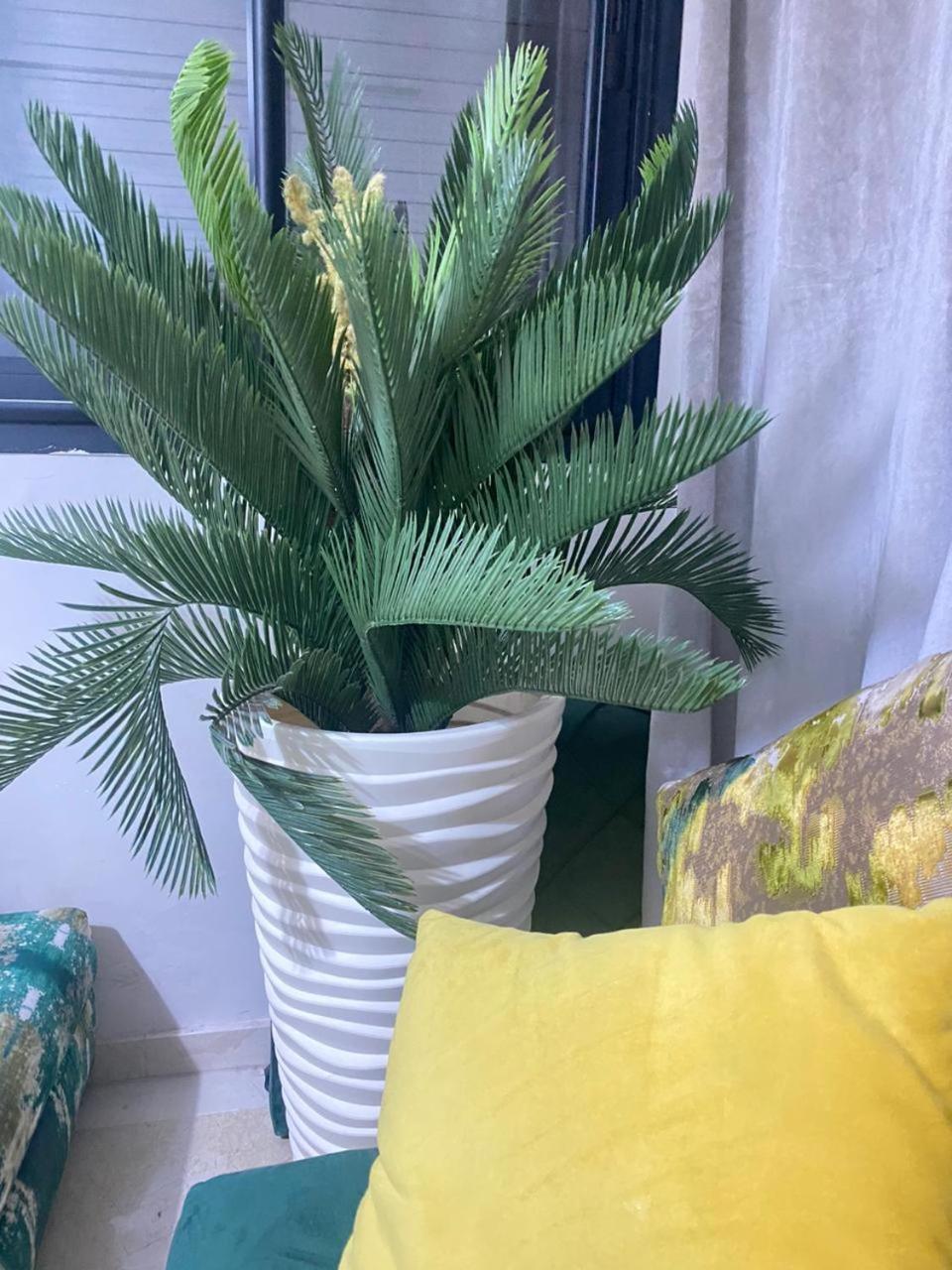 Cosy & Magnifique Appartement Marrakech Marakéš Exteriér fotografie